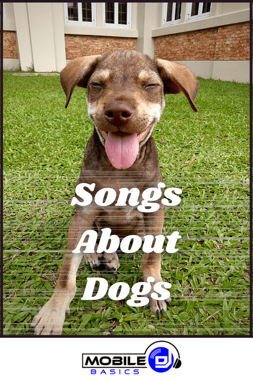 Best New Songs about Dogs that will Make you howl with Laughter