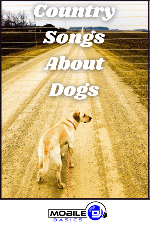 dog on a country road - New Country Songs About Dogs 