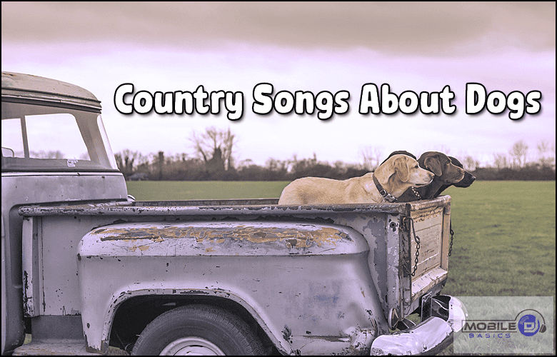 Country Songs About Dogs 2021