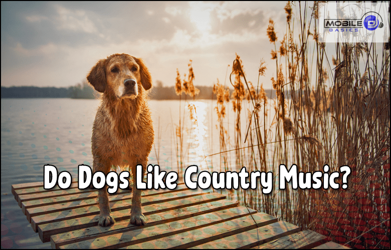 Do Dogs Like Country Music