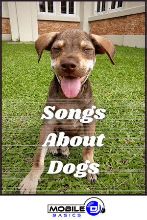 best Songs About Dogs That Will Make You Smile