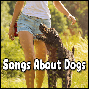 Songs About Dogs 51+ | Best Songs About Our Four Legged Friends