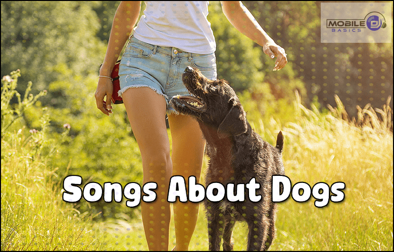 Best Songs about Dogs 