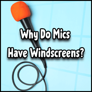 Why do microphones have foam windscreens?